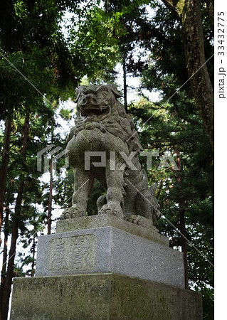 八幡宮 狛犬(武水別神社) 八幡宮 狛犬(武水別神社) 33432775