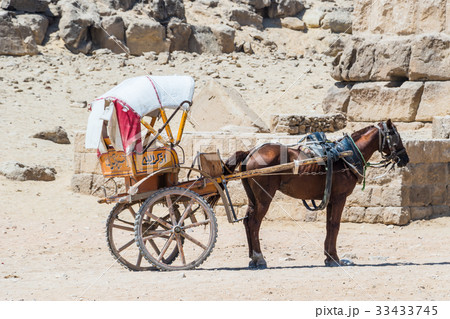 エジプトの馬車 33433745