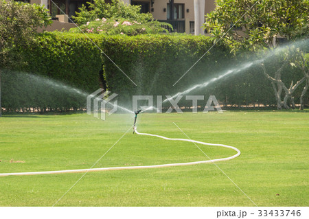 メナハウスの中庭 33433746