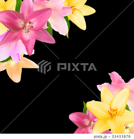 Vector Illustration with Lily Flowers Isolated on 33433876