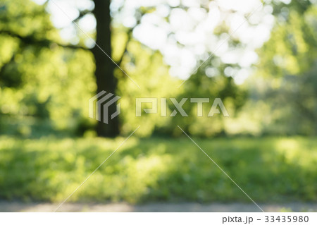 park blurred background in summer day 33435980