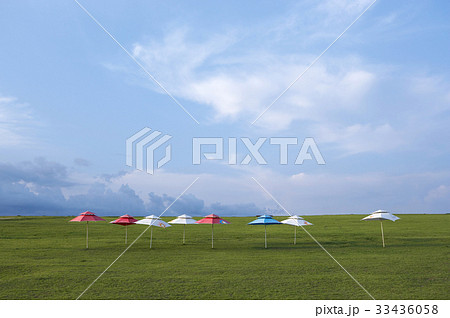 臨津閣 パラソル 坡州市 33436058