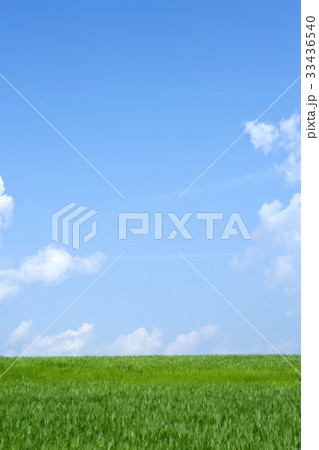 高敞郡 麦畑 全北 33436540