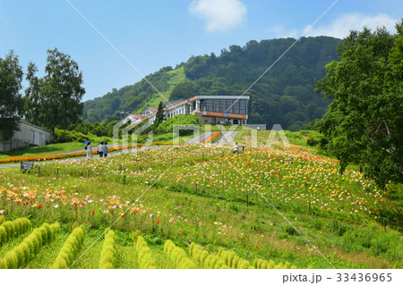アルプの里のゆり斜面 33436965