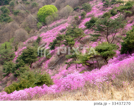 江華郡 高麗山 仁川 33437270