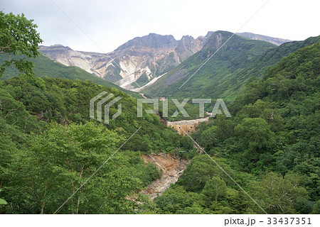 木 北海道 山 33437351