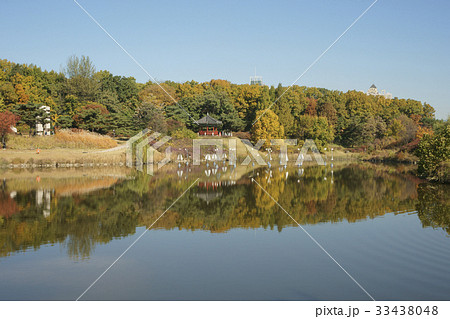 ソウル オリンピック公園 精子 33438048