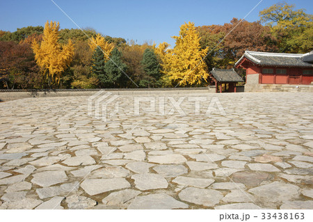 秋 紅葉 薄石 33438163