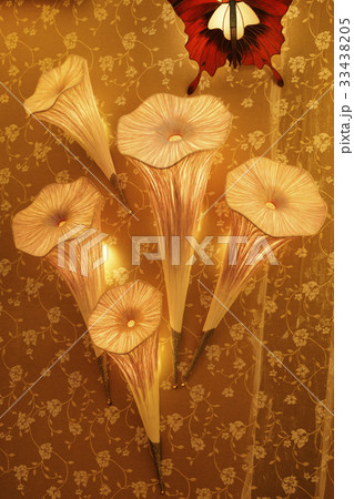 花の形 など 壁紙 33438205