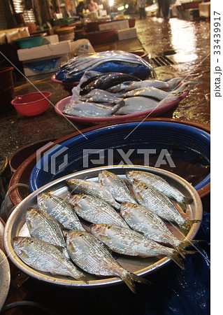 慶南 馬山合浦区 水産市場 33439917