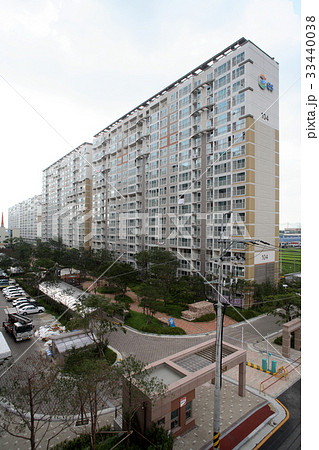 木 都市 都会 33440038