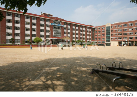 龍仁市 運動場 小学校 33440178