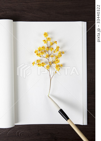 花 筆 伝統 33440322