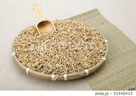 穀物 大麦 水切り 33440415