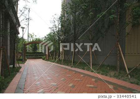 木 道路 アパート 33440541