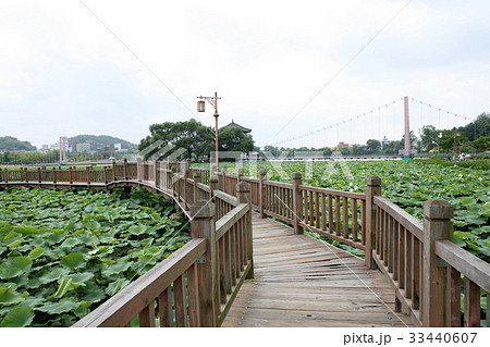 公園 足 橋 33440607