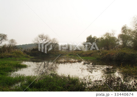 慶南 自然 注南貯水池 33440674