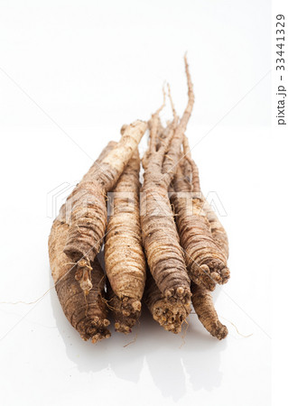 生 なまもの ツルニンジン 33441329