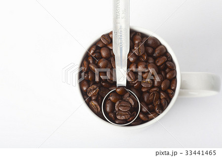スクープ 豆 コーヒー 33441465