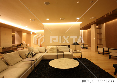 リビングルーム ソファ ソファー 33441733