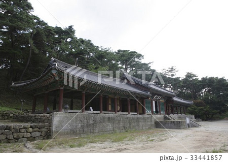 高敞性 松 全北 33441857