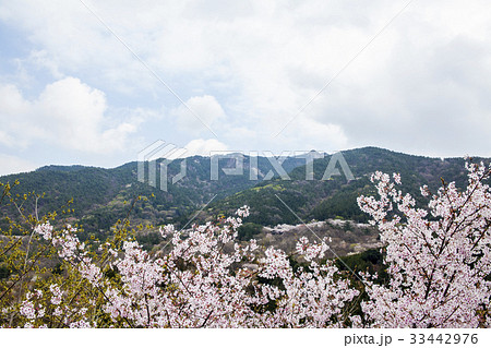 桜 山 鎮海区 33442976