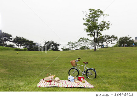 木 自転車 芝生 33443412
