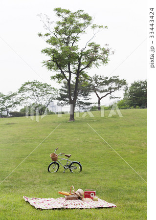 木 自転車 芝生 33443424