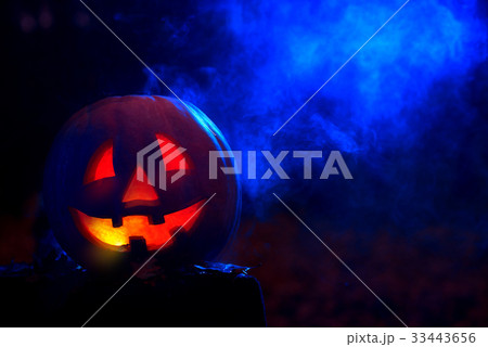 Smiling pumpkin for Halloween in dark at forest.  33443656