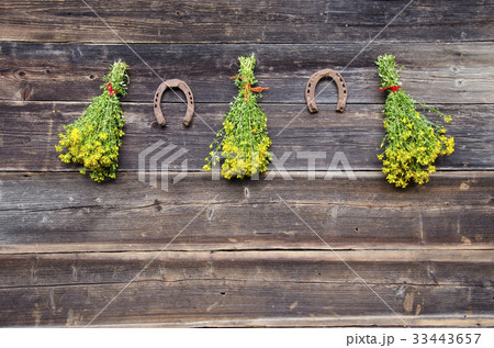 St. johns wort flowers bunch and rusty horseshoe 33443657