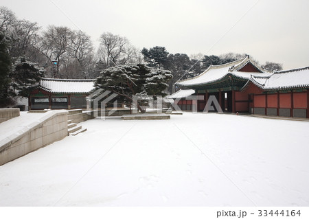 冬 宮殿 ソウル 33444164