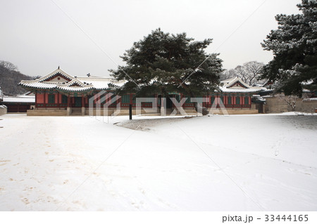 宮殿 ソウル 昌徳宮 33444165