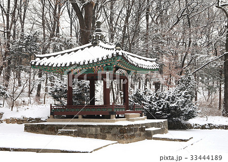 ソウル 玉流川 精子 33444189