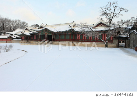 宮殿 ソウル 昌徳宮 33444232