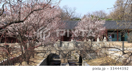 古建築 宮殿 ソウル 33444392