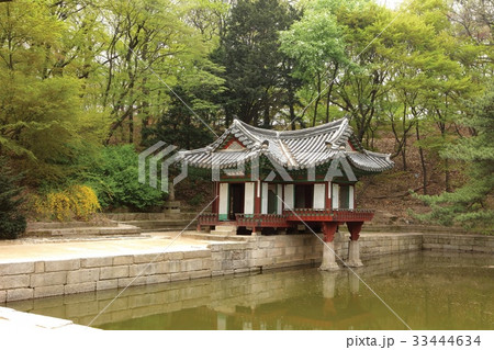 芙蓉亭 悲願 ソウル 33444634