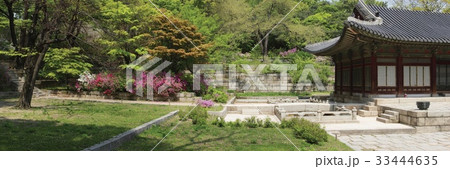 宮殿 木 ソウル 33444635