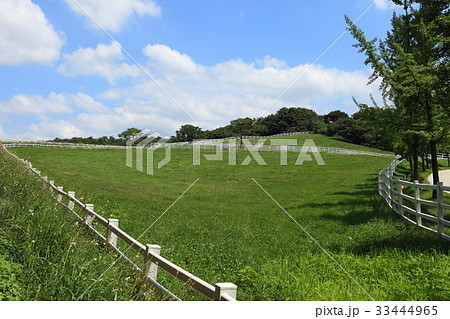 高陽市 コヤンシ 雲 33444965