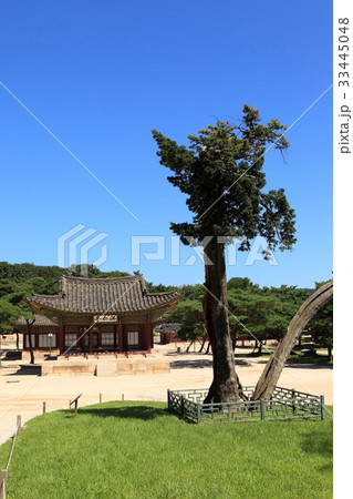 古建築 精子 昌慶宮 33445048