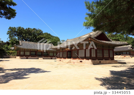 京春前 宮殿 昌慶宮 33445055