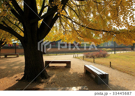 景福宮 宮殿 ソウル 33445687