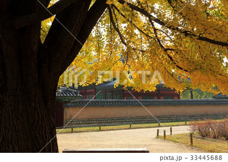 景福宮 宮殿 ソウル 33445688