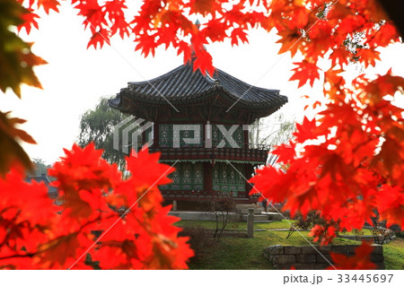 景福宮 宮殿 紅葉 33445697