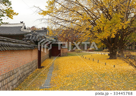 秋 景福宮 宮殿 33445768