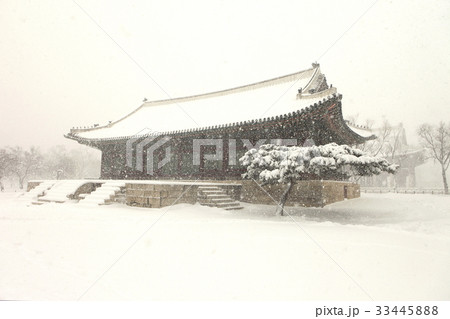 冬 景福宮 宮殿 33445888