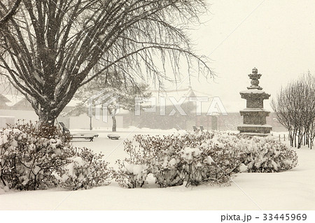 景福宮 国宝 韓国 33445969
