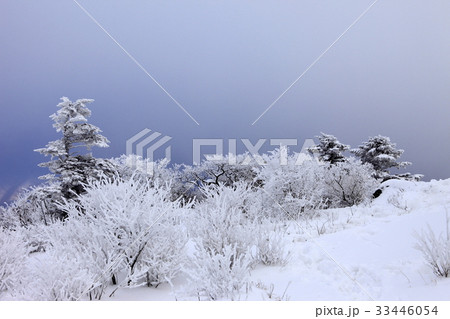 冬 徳裕山 茂朱郡 33446054