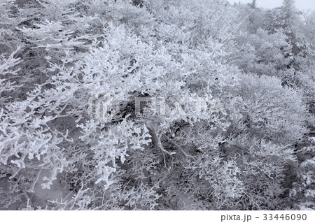 冬 徳裕山 茂朱郡 33446090