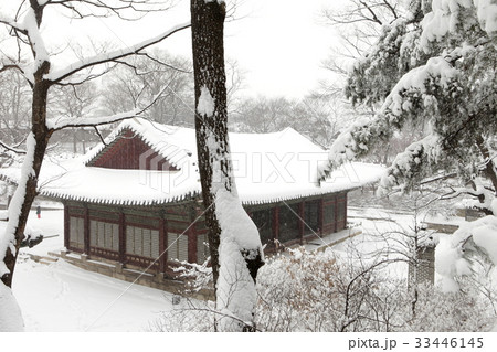 冬 宮殿 昌慶宮 33446145