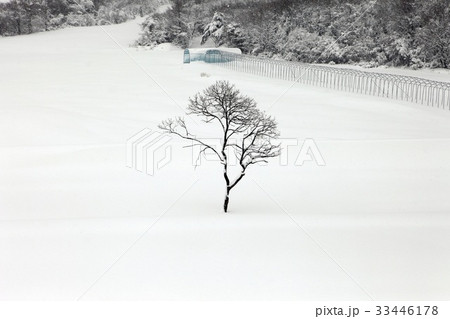 江原道 冬 大関嶺 33446178